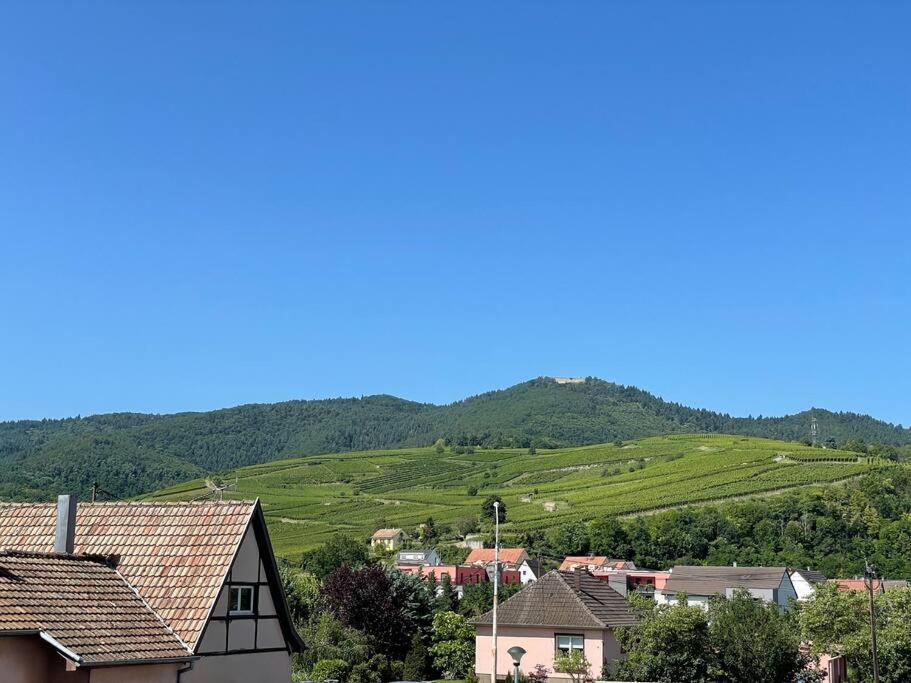 Apartament A2 Pas De Colmar Terrasse,Parking Wintzenheim Zewnętrze zdjęcie