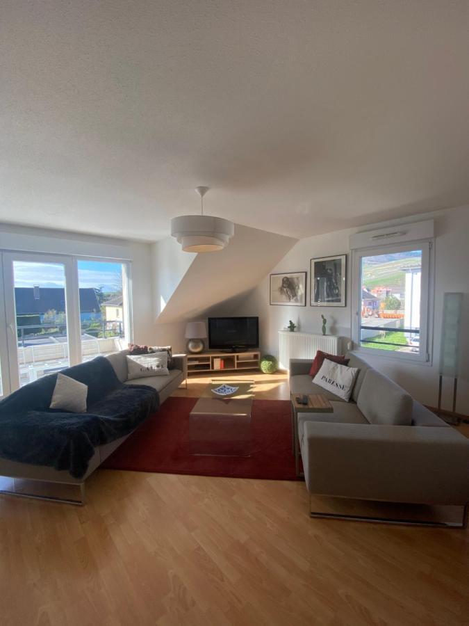 Apartament A2 Pas De Colmar Terrasse,Parking Wintzenheim Zewnętrze zdjęcie